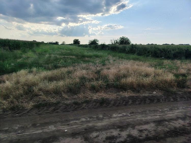 Teren de 4300 mp, în Cudalbi