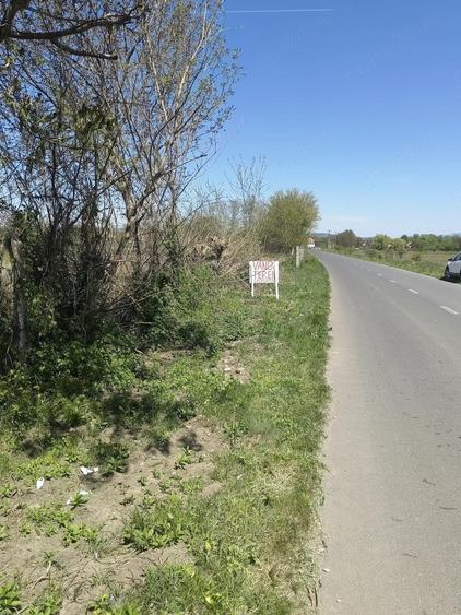 Teren de 5700 mp, în Reea