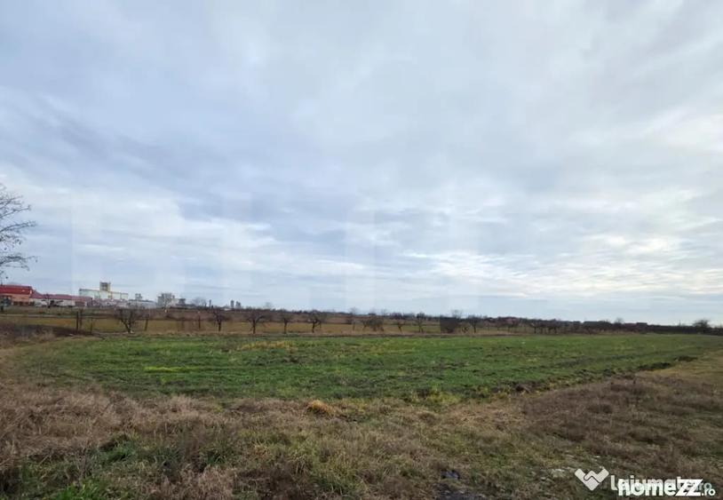 Teren în Cloșca