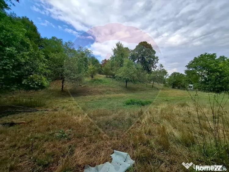 Teren de 990 mp, în Bârzava