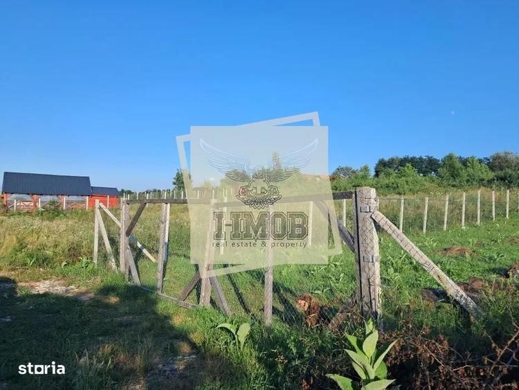 Teren intravilan Daia Noua 500 mp - 3