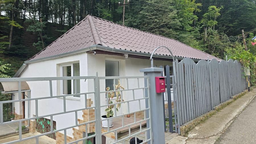 Vand proprietate in Deva, zona A. Vlaicu, compusa din casa de locuit si anexa - 1