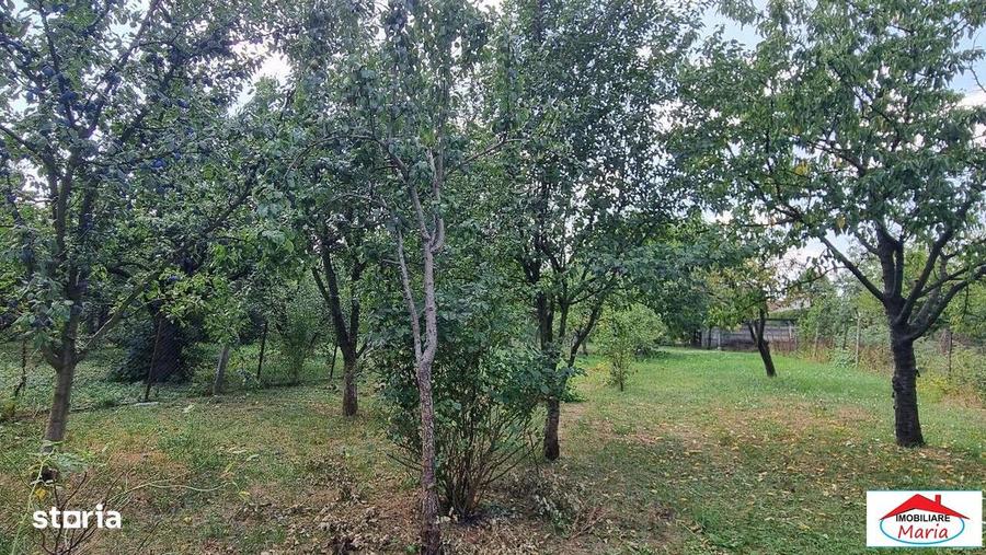 Casa parter si mansarda zona Unirii- Dara cu teren - 3