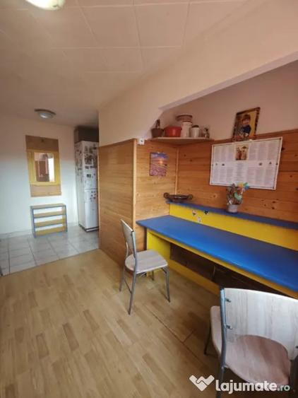 Apartament cu 2 camere semidecomandat în Săsar
