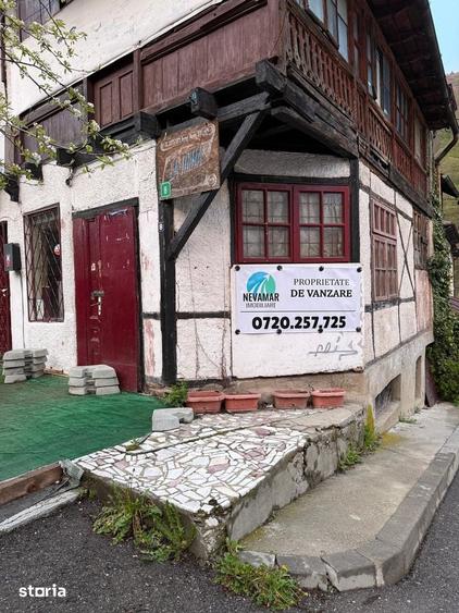 Proprietate centrala Sinaia cu potential enorm! - 1
