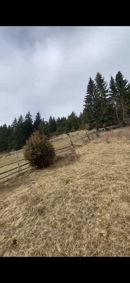 Teren de 6000 mp, în Fundățica