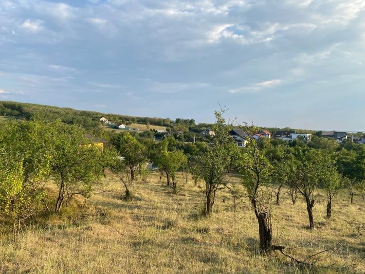 Teren Construcții intravilan de 15380 mp, în Nord