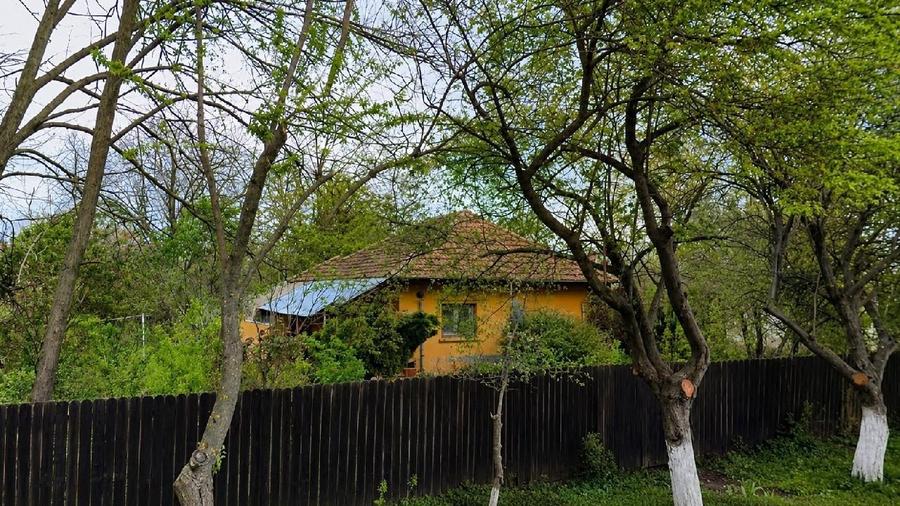 Casă individuală cu 2 camere cu Teren 3026 Mp în Movilița