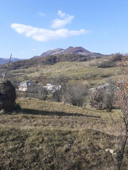 Teren de 2000 mp, în Poienile Izei