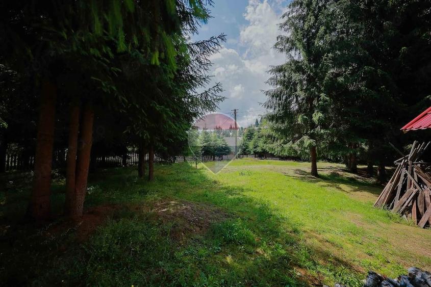 Casă cu Teren 3326 Mp în Arieșeni