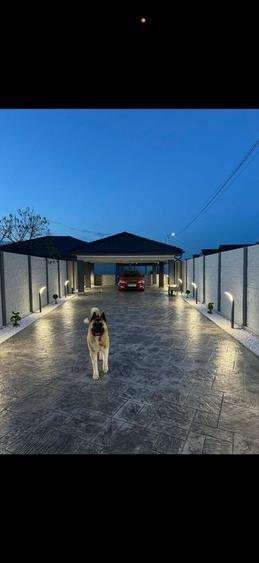 Casă cu 4 camere în Sânmihaiu Român