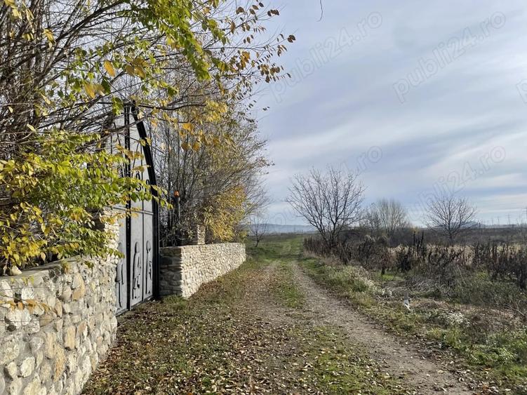Teren de 953 mp, în Săteni