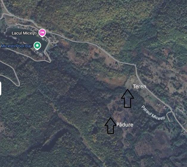 Teren de 5000 mp, în Micești