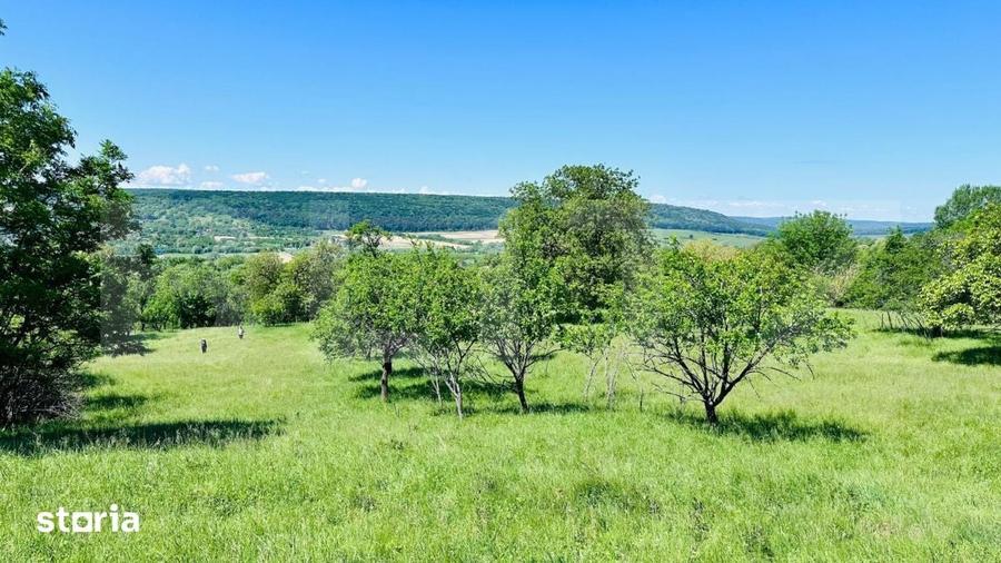 Teren de 4879 mp, în Dobrovăț