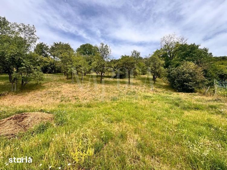 Casă cu 4 camere cu Teren 1376 Mp în Dâmbul Rotund