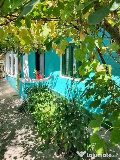 vind casa locuibila - 1