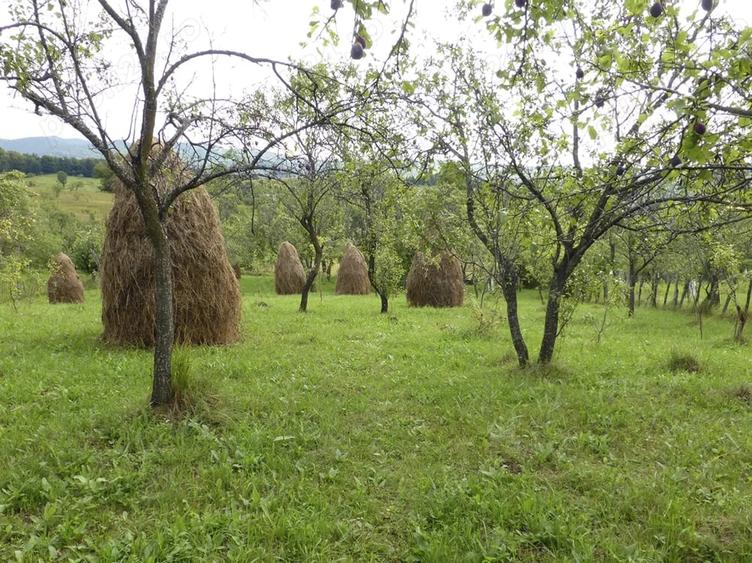 Teren de 490 mp, în Brebu