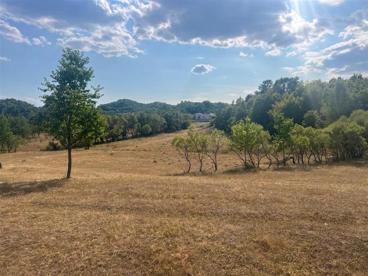 Teren agricol extravilan de 9059 mp, în Exterior Est