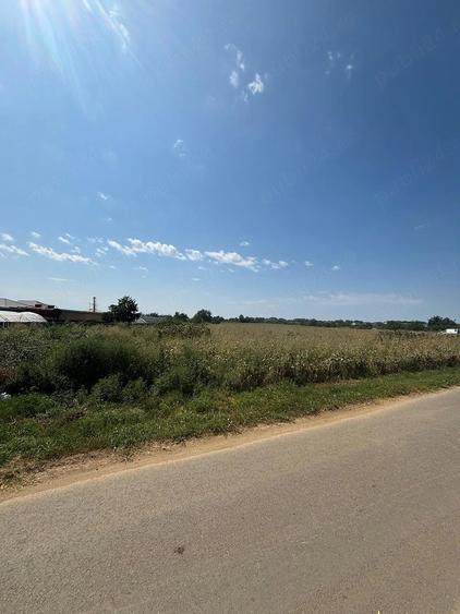 Teren de 9000 mp, în Joița