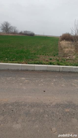Teren de 3300 mp, în Ograda