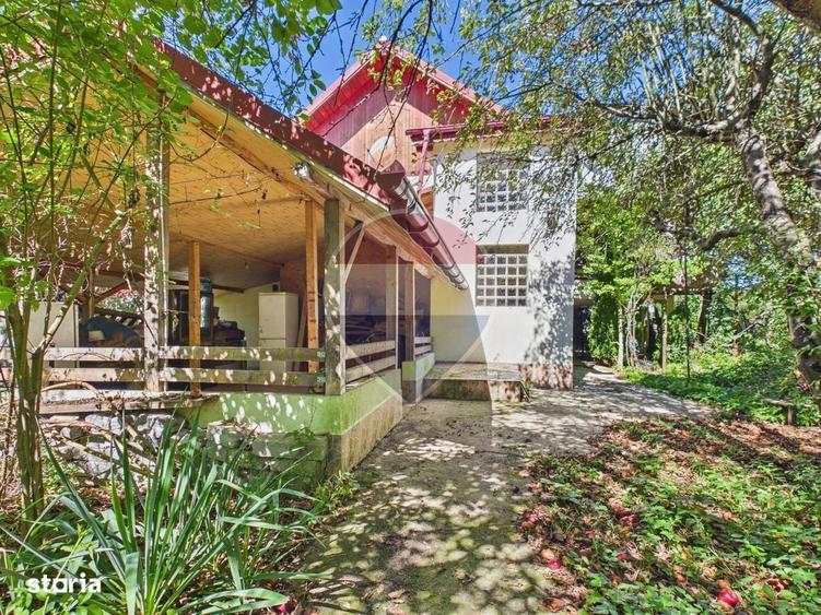 Casa P+1 cu teren, livada si vie Pucioasa| Acces facil Sinaia - 3
