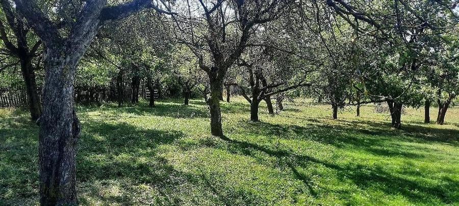 Teren de 1800 mp, în Breaza de Sus