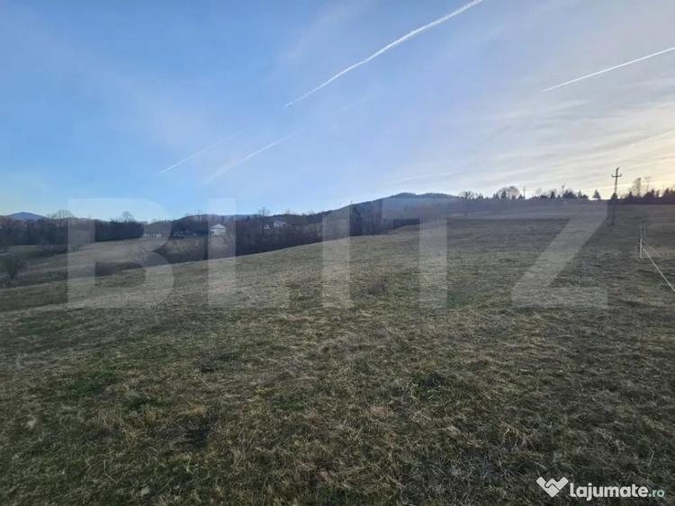 Teren de 16667 mp, în Abrud-Sat