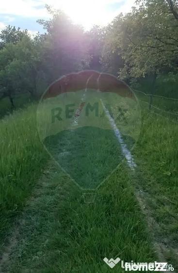 Teren de 1046 mp, în Valea Borcutului