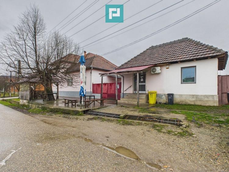 Casă individuală cu 8 camere cu Canalizare în Prunișor