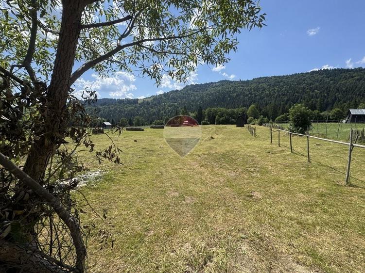Teren Construcții intravilan de 2802 mp, în Borca