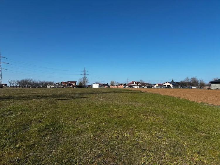 Teren de 3000 mp, în Movila (Niculești)