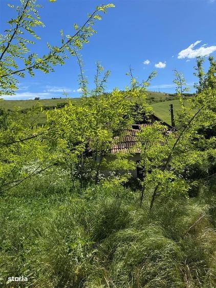 Casa de vanzare l Straja l Teren 500 MP - 9