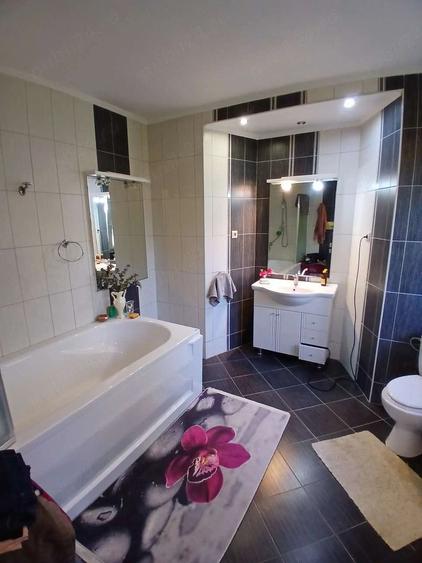 Casă cu Teren 3900 Mp în Viile Satu Mare