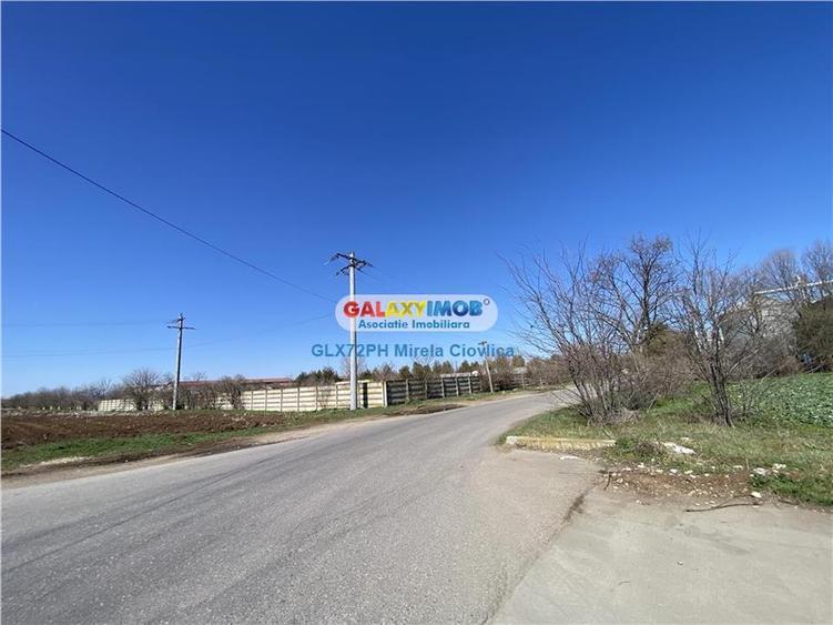 Teren Construcții intravilan de 98000 mp, în Păulești