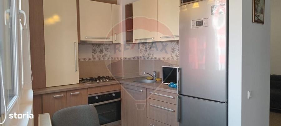 Apartament cu 2 camere de inchiriat Bloc Nou -ARED zona Banu Maracine - 7