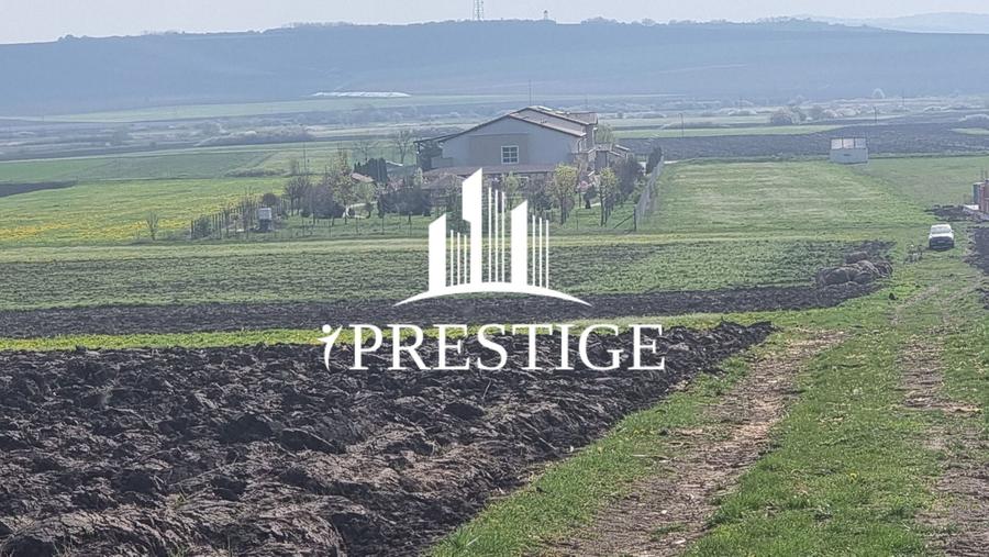 Teren agricol extravilan de 10000 mp, în Șura Mică