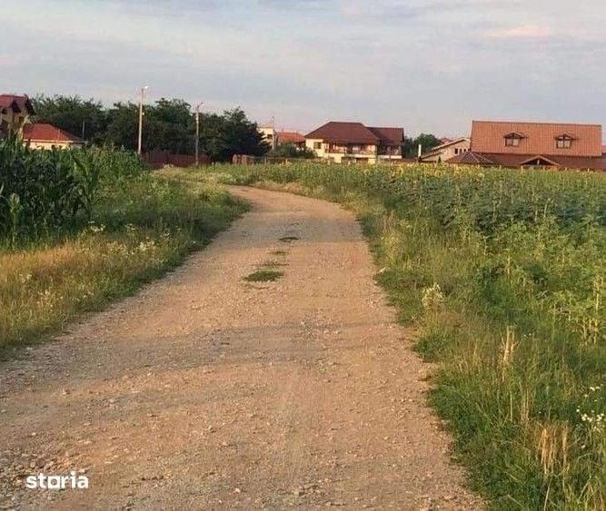 Teren de vanzare | Ciofliceni | Utilitati - 2