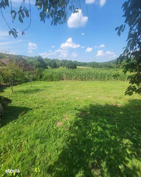 Casă cu 5 camere cu Teren 1200 Mp în Sohodol