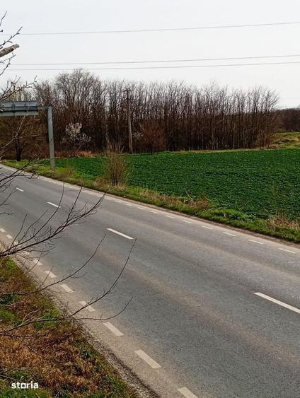Teren intravilan 5.000 m2 cu 40 m deschidere la DN2A langa Kaufland - 16
