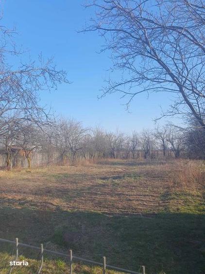 Teren de 882 mp, în Bănești