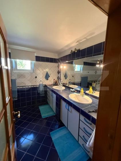 Casa individuala cu etaj, 10 ari teren, 207 mp utili, Plopeni, Salcea - 11