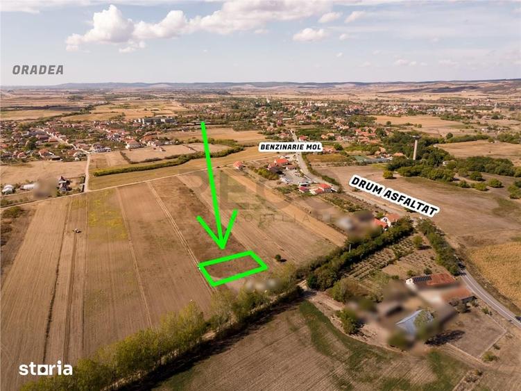 RECO Teren intravilan Tileagd 577 MP - 7