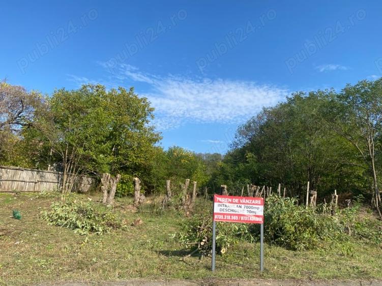 Teren de 7000 mp, în Drăgoești