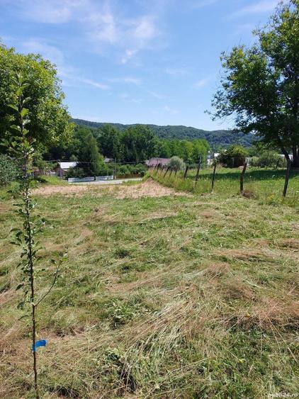 Teren de 1500 mp, în Vulcana de Sus