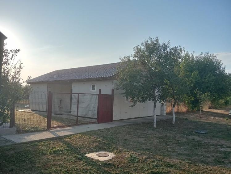 Casă individuală cu 2 camere cu Canalizare în Hodoni