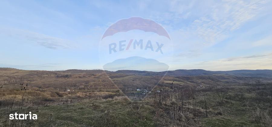 Teren de 2500 mp, în Odobești