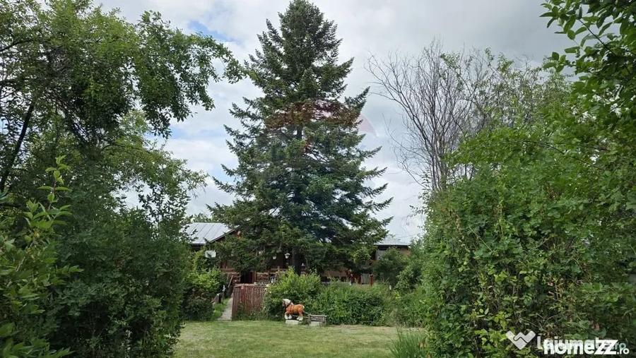 Casă cu 3 camere cu Teren 5063 Mp în Uzunu