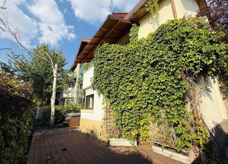 Vanzare Vila  Iancu de Nicolaie - 2