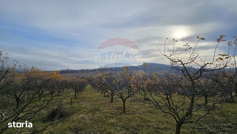 Teren de 10791 mp, în Fălticeni