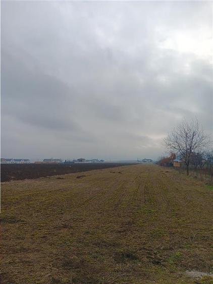 Teren Construcții intravilan de 8503 mp, în Aroneanu